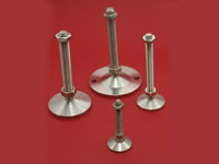 All stainless steel adjustable feet